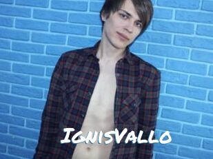 IgnisVallo Max 50