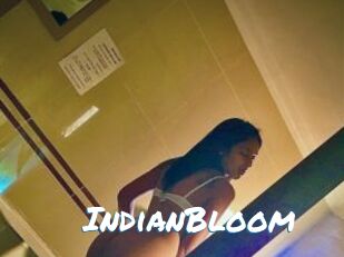 IndianBloom