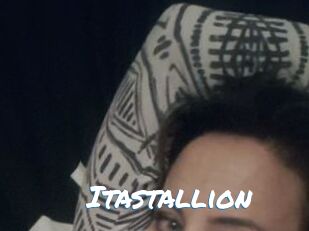 Itastallion