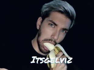 Itsgelviz