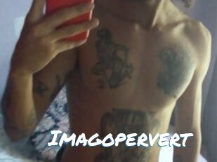 Imagopervert