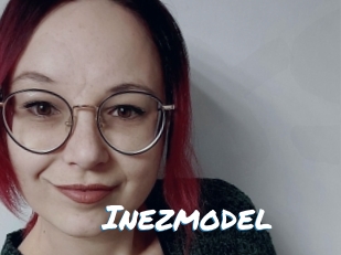 Inezmodel
