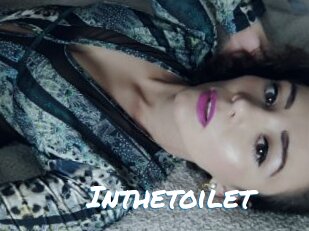 Inthetoilet