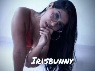 Irisbunny