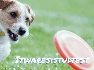 Itwaresistudtest