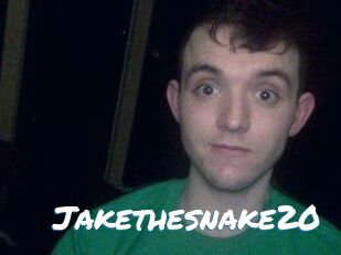 Jakethesnake20