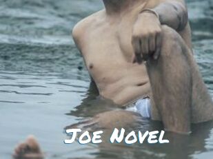 Joe_Novel