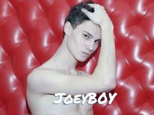 JoeyB0Y