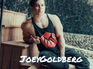 JoeyGoldberg