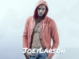 JoeyLarson