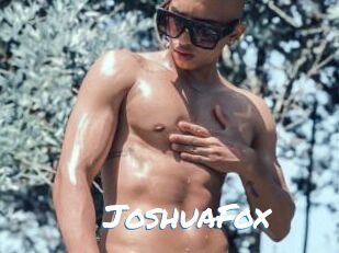 JoshuaFox
