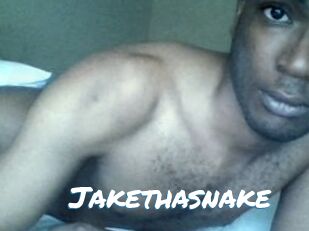Jake_tha_snake