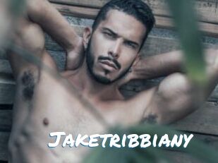jaketribbiany Max 50