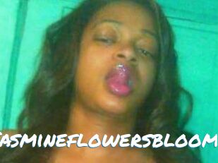 Jasmineflowersbloom