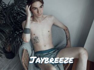 Jaybreeze