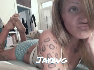 Jaybug