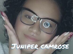 Juniper_camrose