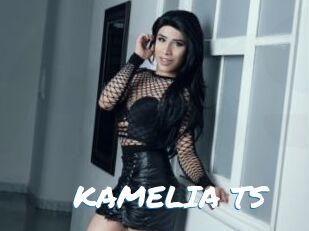 KAMELIA_TS