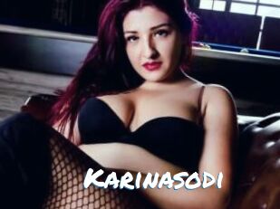 Karinasodi