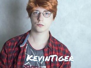 KevinTiger
