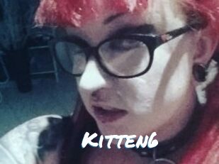 Kitten6