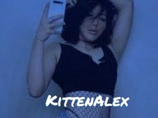 KittenAlex
