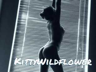 KittyWildflower