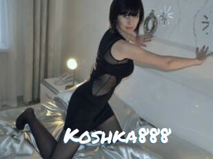 Koshka888