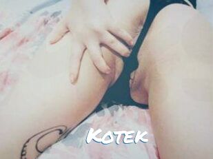 Kotek