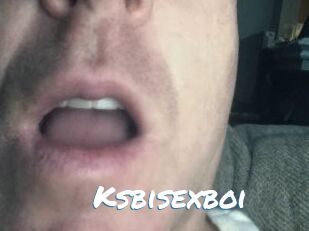 Ksbisexboi