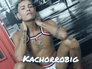 Kachorrobig