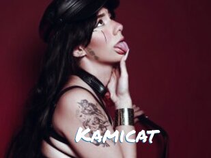 Kamicat