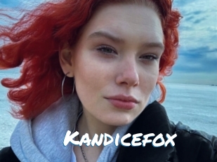 Kandicefox