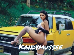 Kandymussee