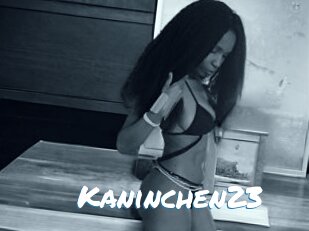 Kaninchen23