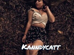 Kanndycatt