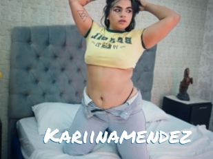 Kariinamendez