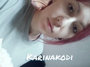 Karinakodi