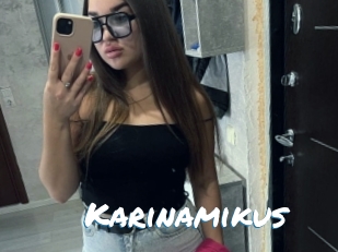 Karinamikus