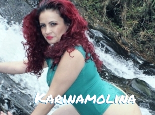 Karinamolina