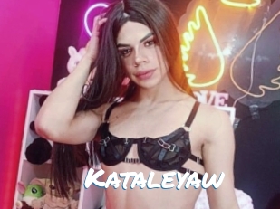 kataleyaw Max 50