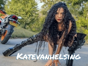 katevanhelsing Max 50