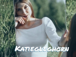 Katiegleghorn