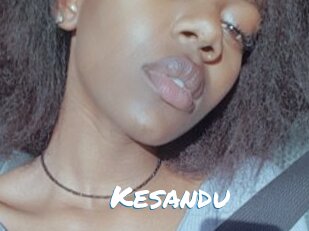 Kesandu