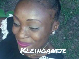 Kleingaatje