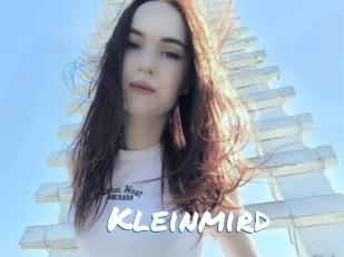Kleinmird