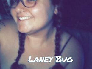 Laney_Bug Max 50