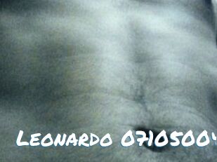 Leonardo-07105004