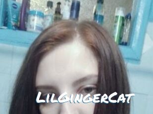 LilGingerCat
