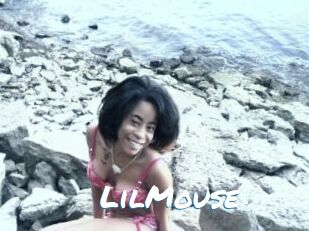 LilMouse
